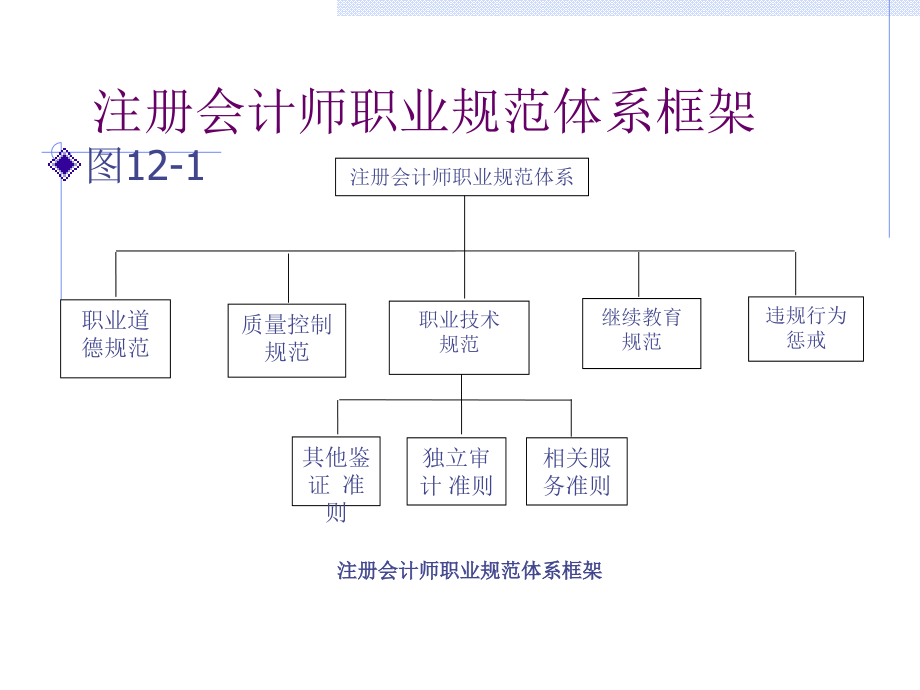 注册会计师的职业规范体系课件_第2页