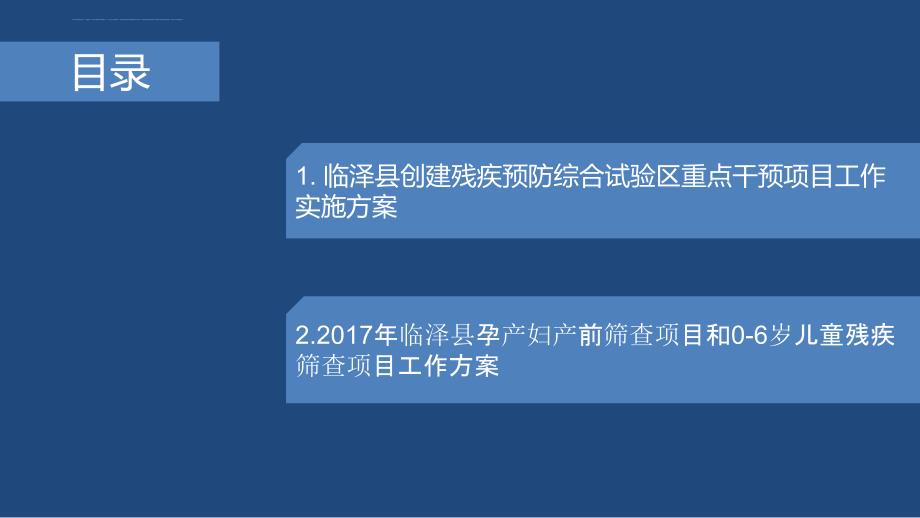 某县创建残疾预防综合试验区重点干预项目概述.ppt_第2页