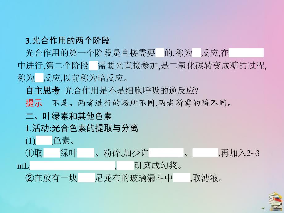 2019-2020学年高中生物 第三章 第五节 光合作用课件 浙科版必修1_第4页