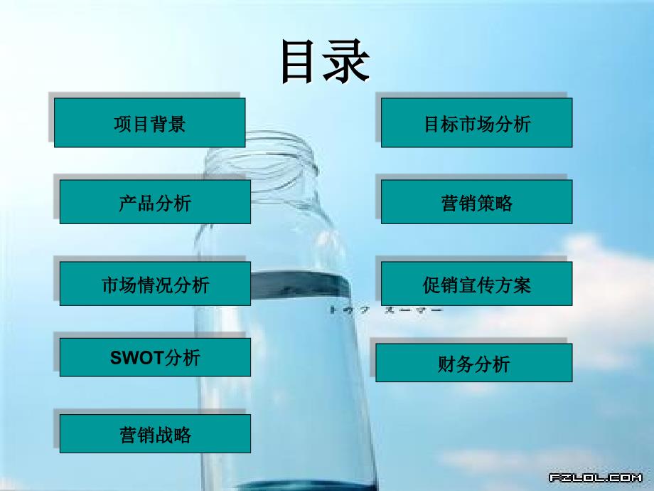 女性专用白酒策划方案.ppt_第4页