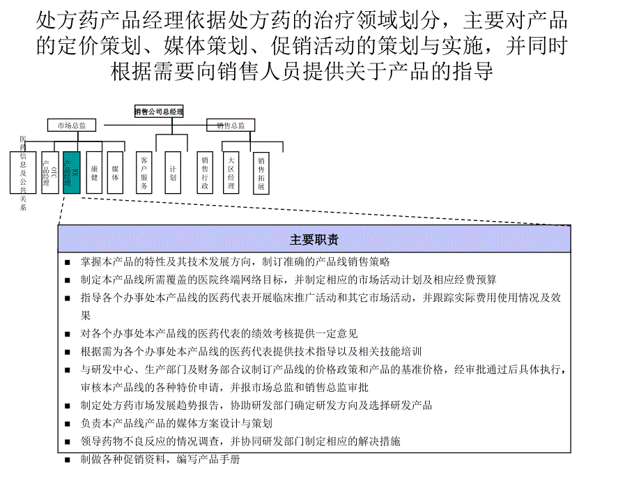 处方药产品经理岗位说明书_第1页