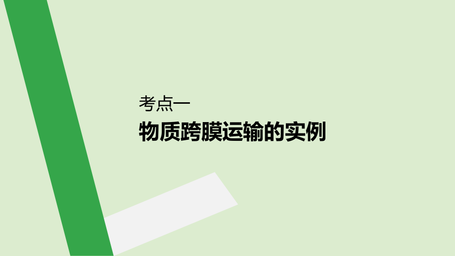 （人教通用）2020版高考生物大一轮复习 第二单元 细胞的基本结构和物质的运输 第6讲 细胞的物质输入和输出课件_第4页