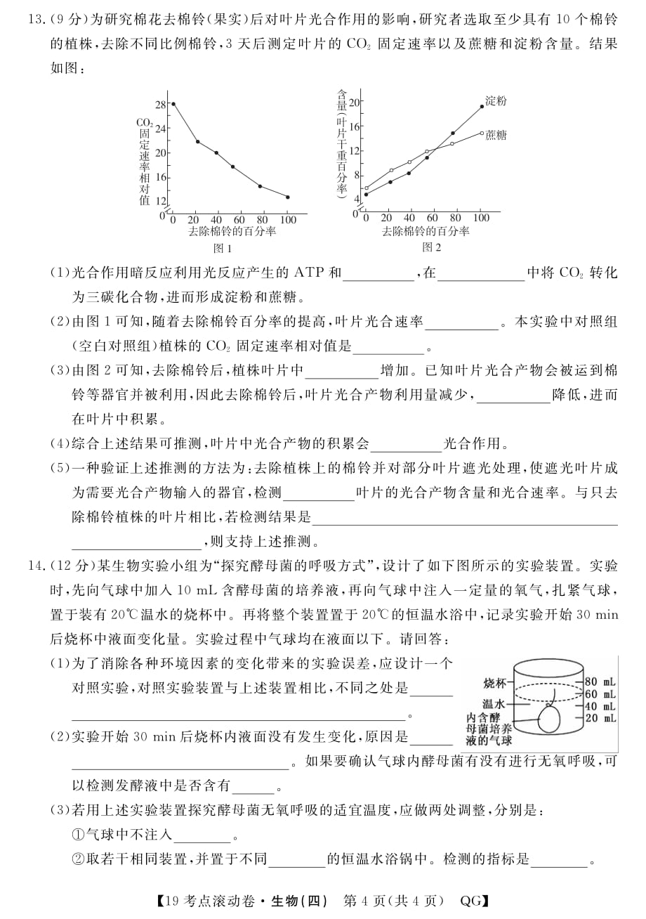 陕西省西安市长安区第五中学2019届高考生物考点滚动提升试题（四）（pdf，无答案）_第4页