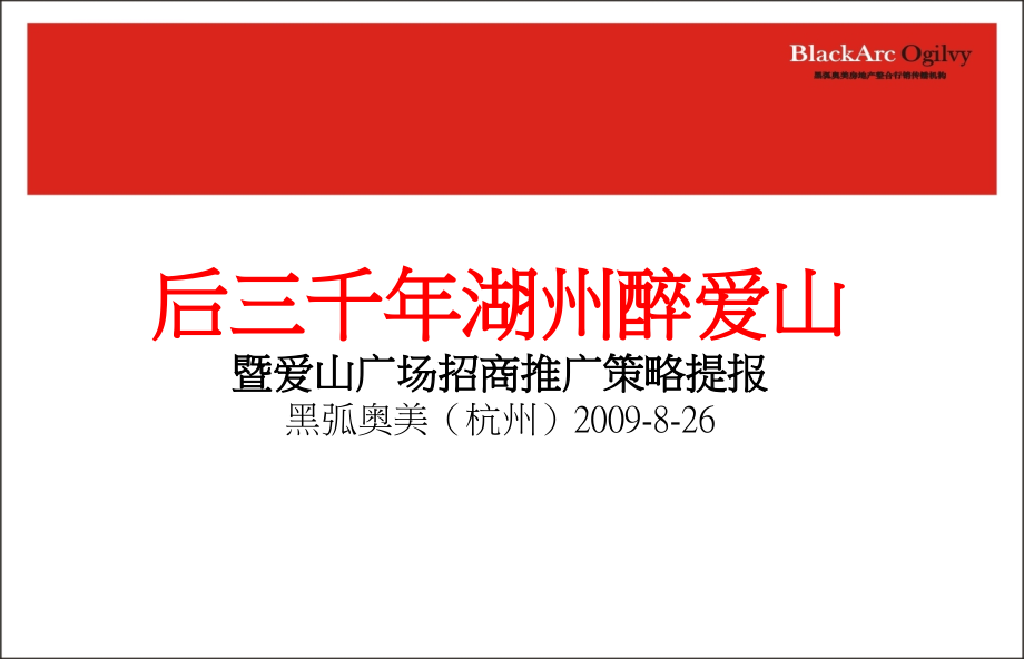 某广场招商推广策略提案.ppt_第3页