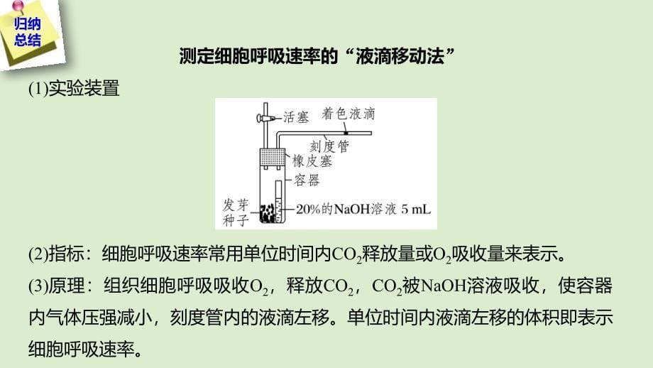 （人教通用）2020版高考生物大一轮复习 第三单元 细胞的能量供应和利用 热点题型二 细胞呼吸速率和光合作用速率的测定实验分析课件_第5页