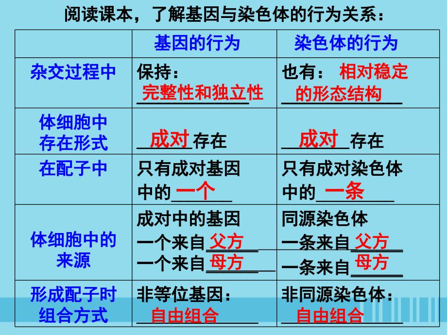 2018-2019学年高中生物 第2章 第2节 基因在染色体上（二）课件 新人教版必修2_第2页