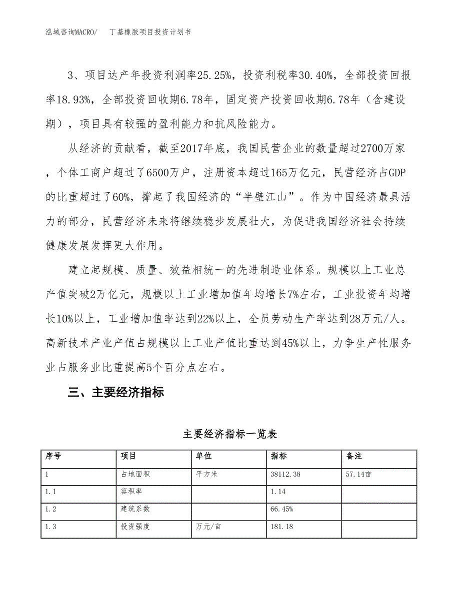 丁基橡胶项目投资计划书（总投资12000万元）.docx_第4页