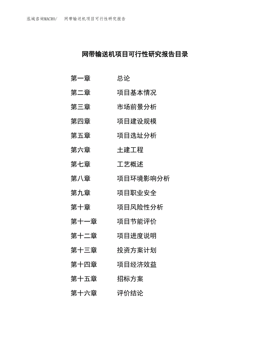 网带输送机项目可行性研究报告(立项申请可编辑).docx_第2页