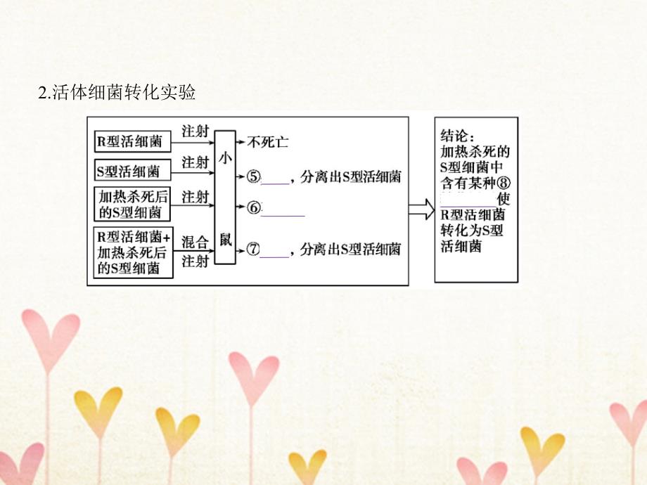 （b版，浙江选考专用）2019版高考生物总复习 专题10 遗传的分子基础课件_第4页