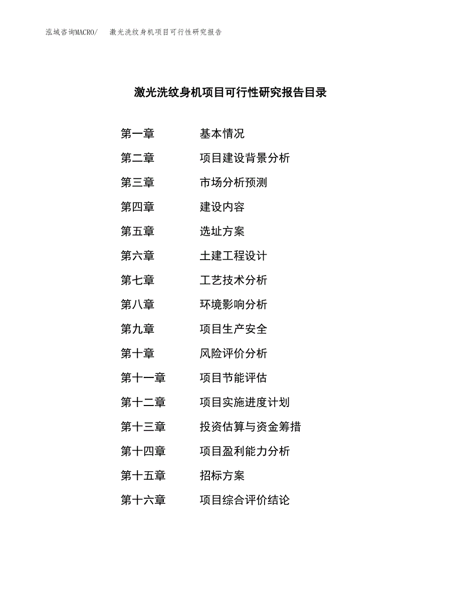 激光洗纹身机项目可行性研究报告(立项申请可编辑).docx_第2页