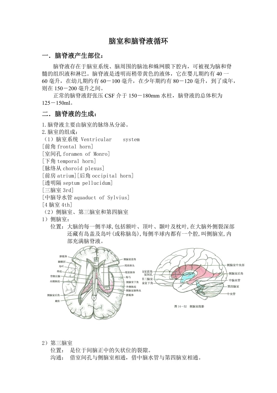 脑室和脑脊液循环_第1页