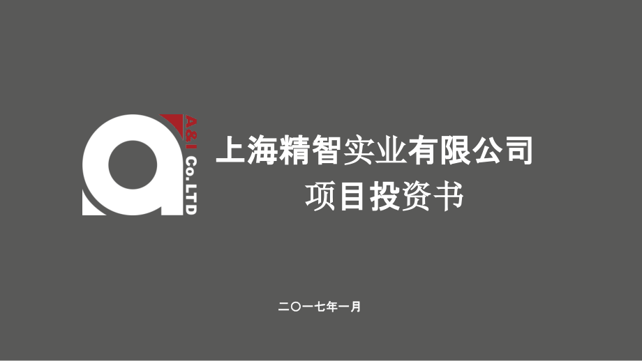 精智实业有限公司投资建议书培训资料_第1页