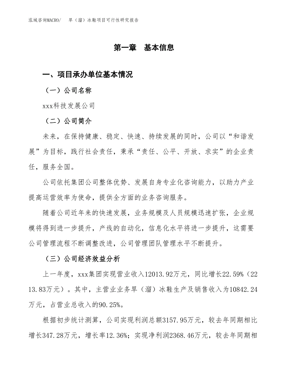 旱（溜）冰鞋项目可行性研究报告(立项申请可编辑).docx_第3页