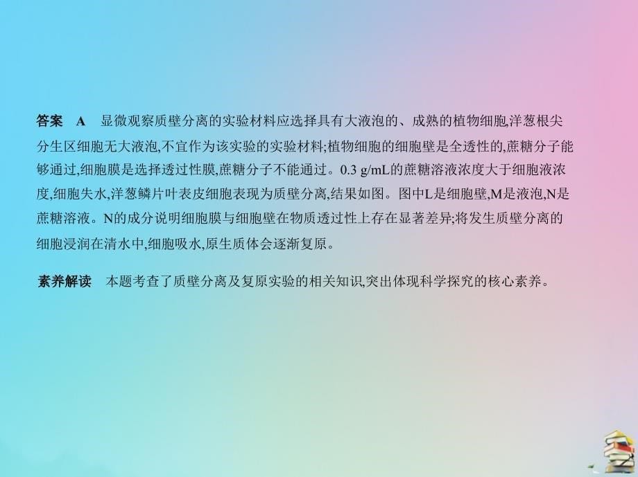 （天津专用）2020届高考生物一轮复习 专题3 物质进出细胞的方式课件_第5页