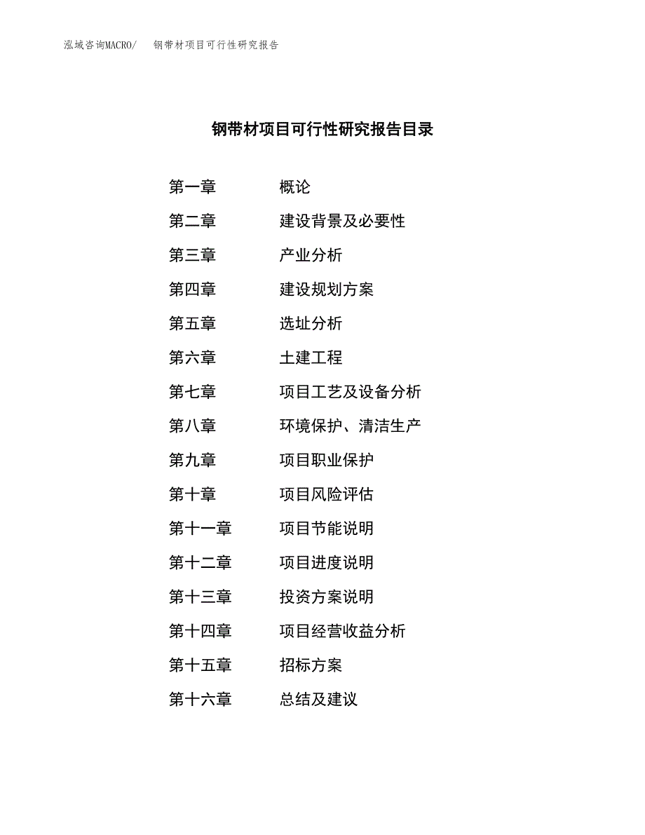 钢带材项目可行性研究报告(立项申请可编辑).docx_第2页