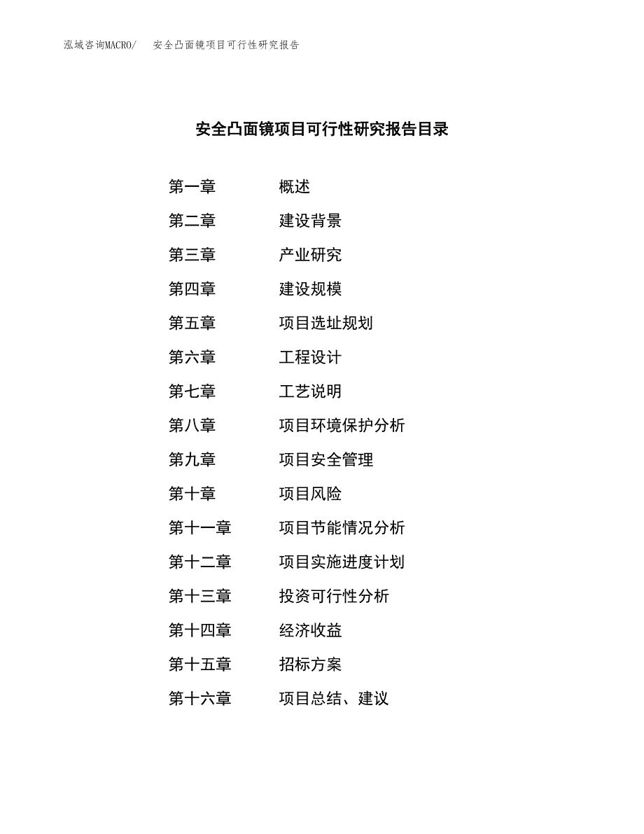 安全凸面镜项目可行性研究报告(立项申请可编辑).docx_第2页