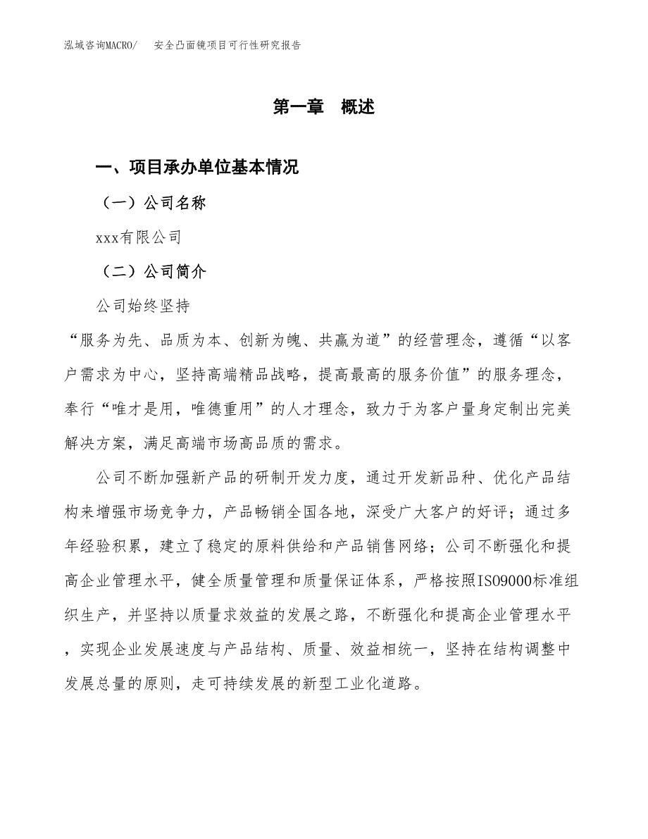 安全凸面镜项目可行性研究报告(立项申请可编辑).docx_第3页