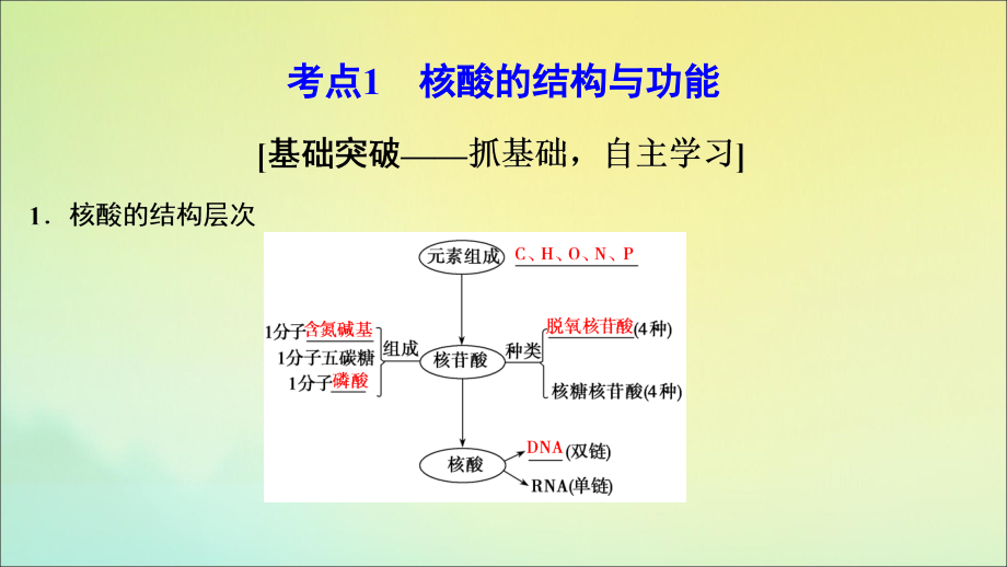 （新课标）2020高考生物一轮总复习 第1单元 第4讲 细胞中的核酸、糖类和脂质课件_第4页