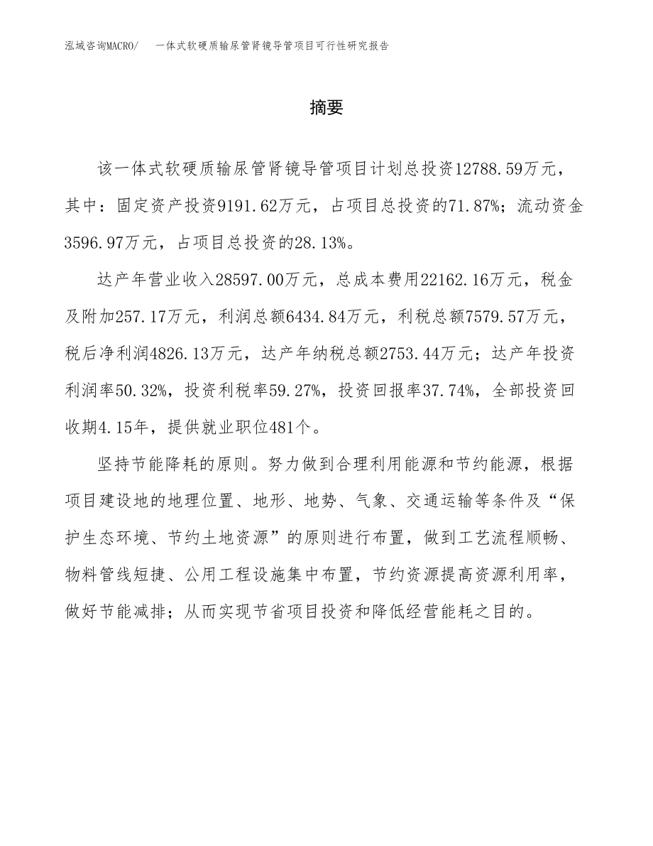 一体式软硬质输尿管肾镜导管项目可行性研究报告(可编辑)_第2页