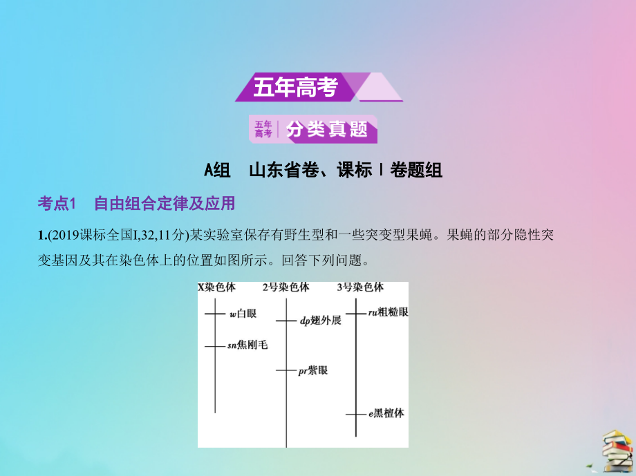 （山东专用）2020版高考生物一轮复习 专题12 基因的自由组合定律课件_第2页