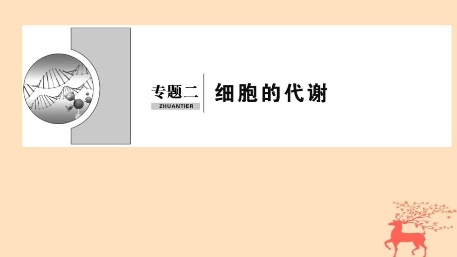 2019届高考生物二轮复习 专题2 细胞的代谢课件_第1页