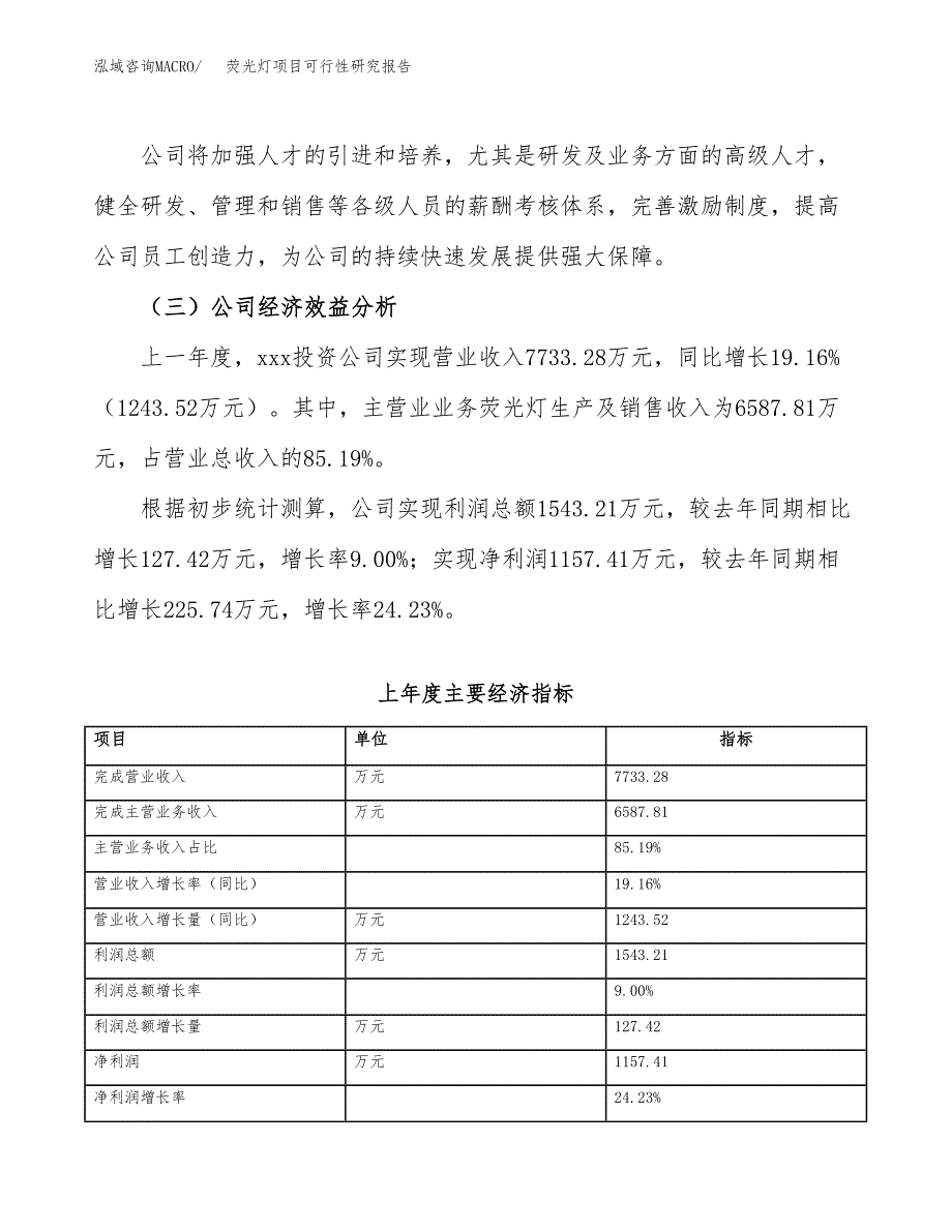 荧光灯项目可行性研究报告(立项申请可编辑).docx_第4页