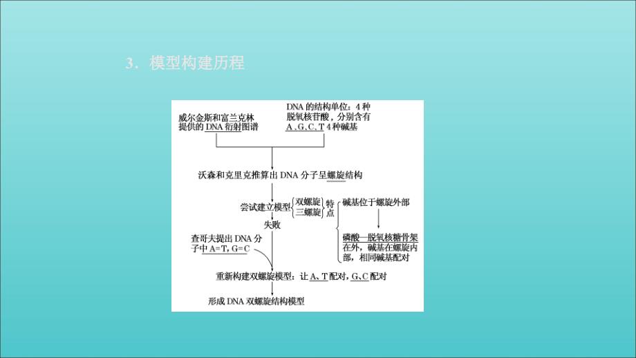 2019高中生物 第3章 第2节 dna分子的结构课件 新人教版必修2_第4页