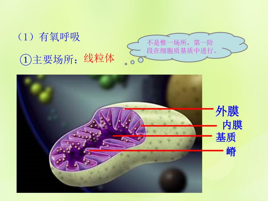 2018-2019高中生物 专题5.3 atp的主要来源&mdash;细胞呼吸课件 新人教版必修1_第2页