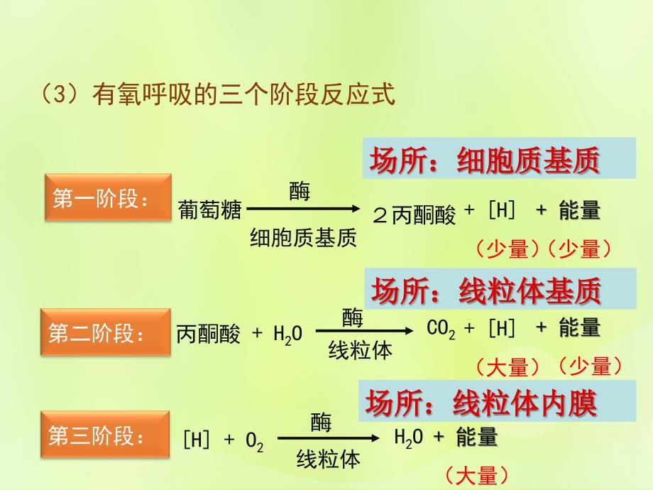 2018-2019高中生物 专题5.3 atp的主要来源&mdash;细胞呼吸课件 新人教版必修1_第3页