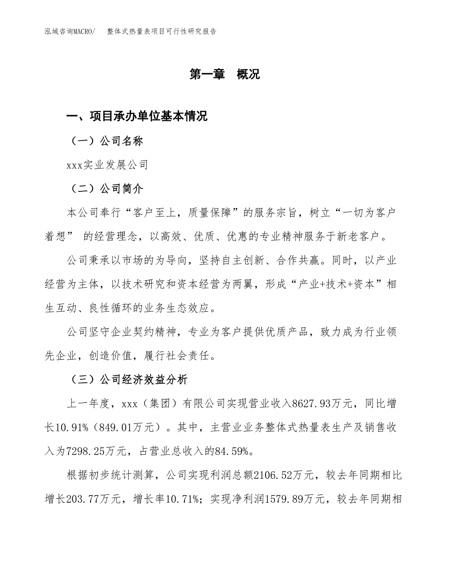 整体式热量表项目可行性研究报告(立项申请可编辑).docx_第3页