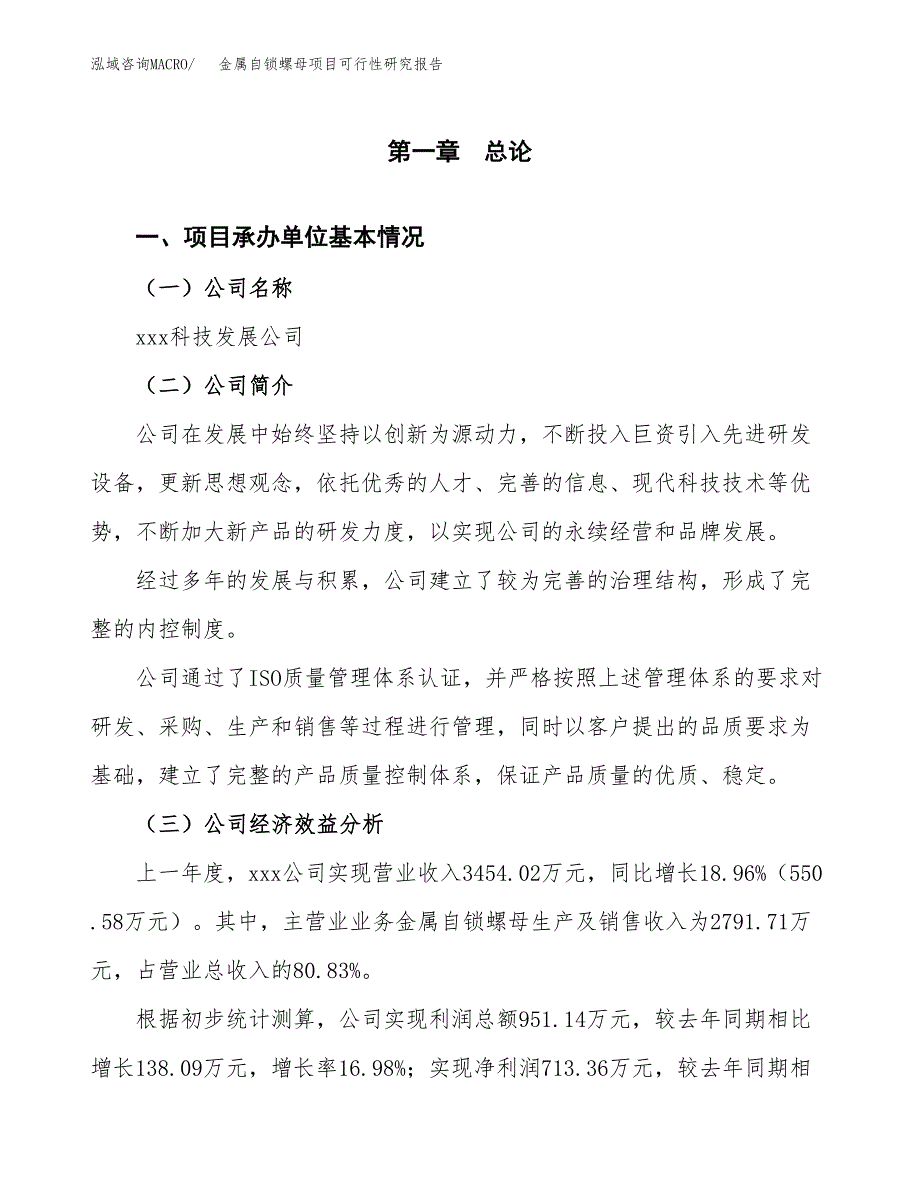 金属自锁螺母项目可行性研究报告(立项申请可编辑).docx_第3页