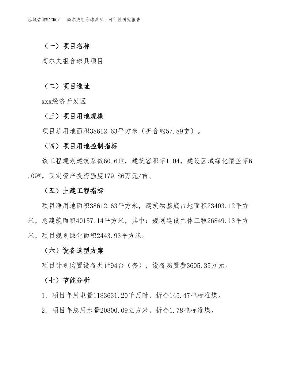 高尔夫组合球具项目可行性研究报告(立项申请可编辑).docx_第5页