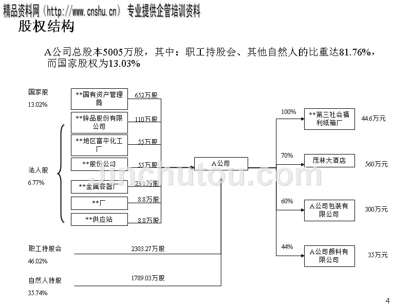 某公司投资报告模本_第4页