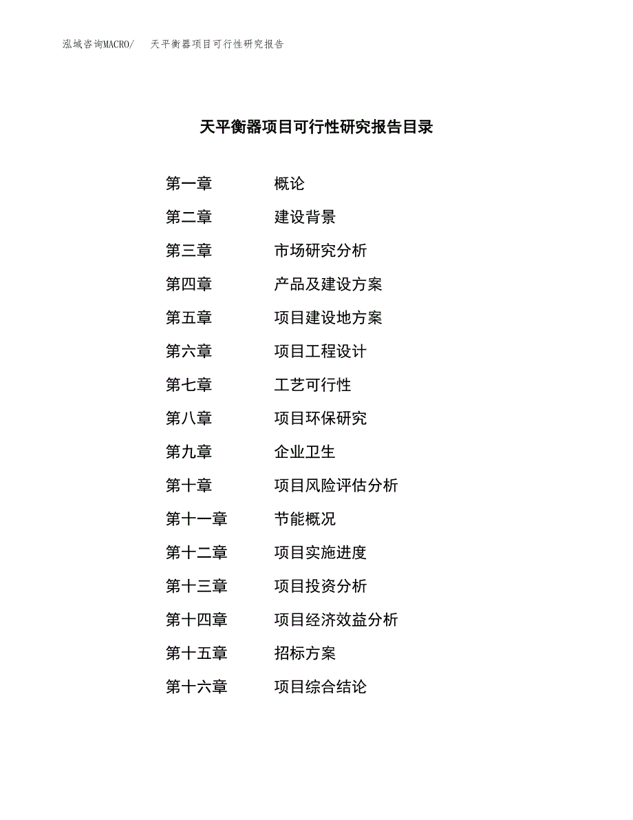 天平衡器项目可行性研究报告(立项申请可编辑).docx_第2页