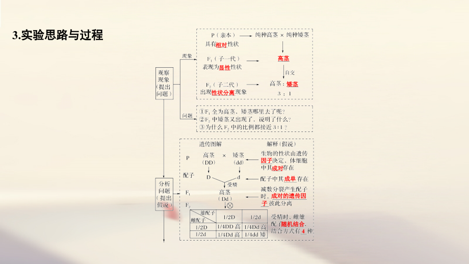 （江苏专用）2019版高考生物大一轮复习 第5单元 遗传的基础规律 第14讲 基因的分离定律课件_第4页