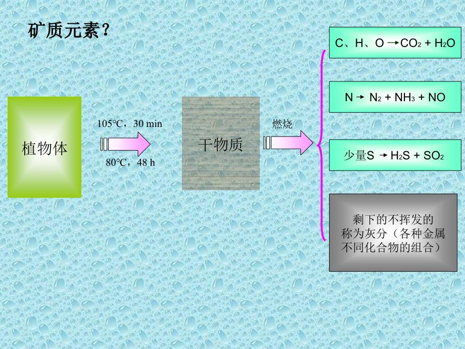 1植物相对含水量的测定_第4页