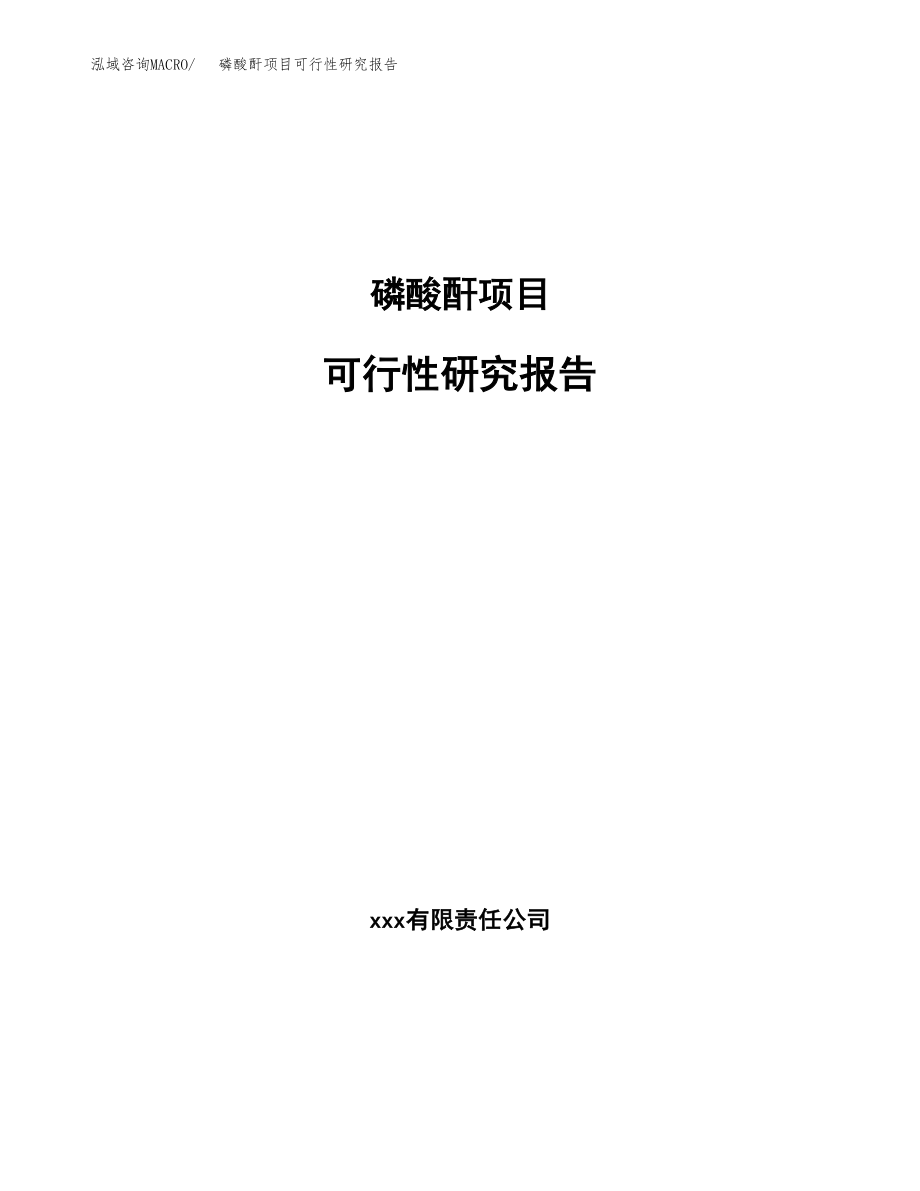 磷酸酐项目可行性研究报告（总投资4000万元）.docx_第1页