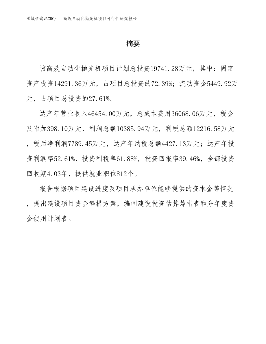 高效自动化抛光机项目可行性研究报告（总投资20000万元）.docx_第2页