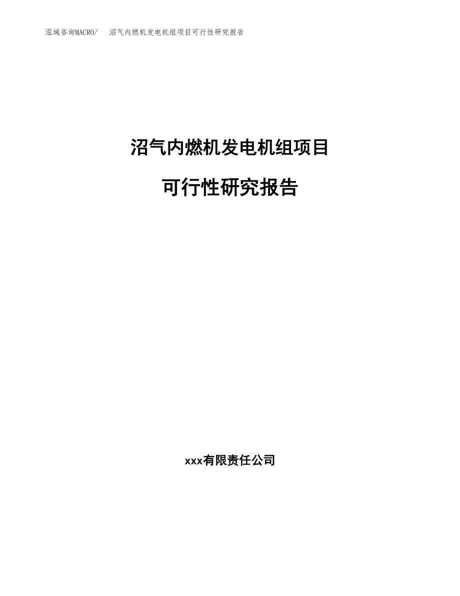 沼气内燃机发电机组项目可行性研究报告（总投资12000万元）.docx_第1页