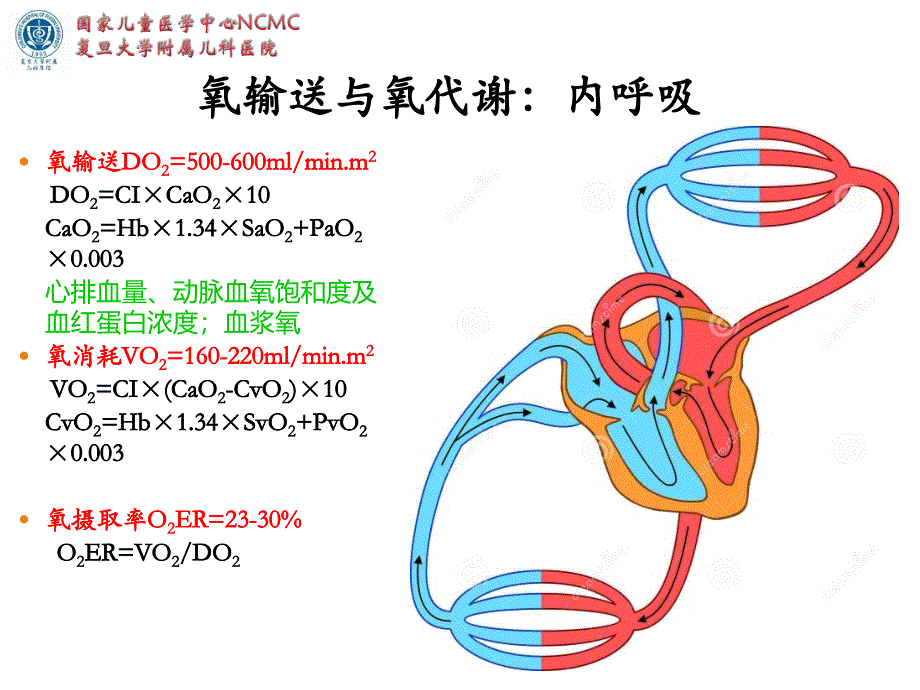 氧疗技术-复旦儿科陆国平201810_第4页