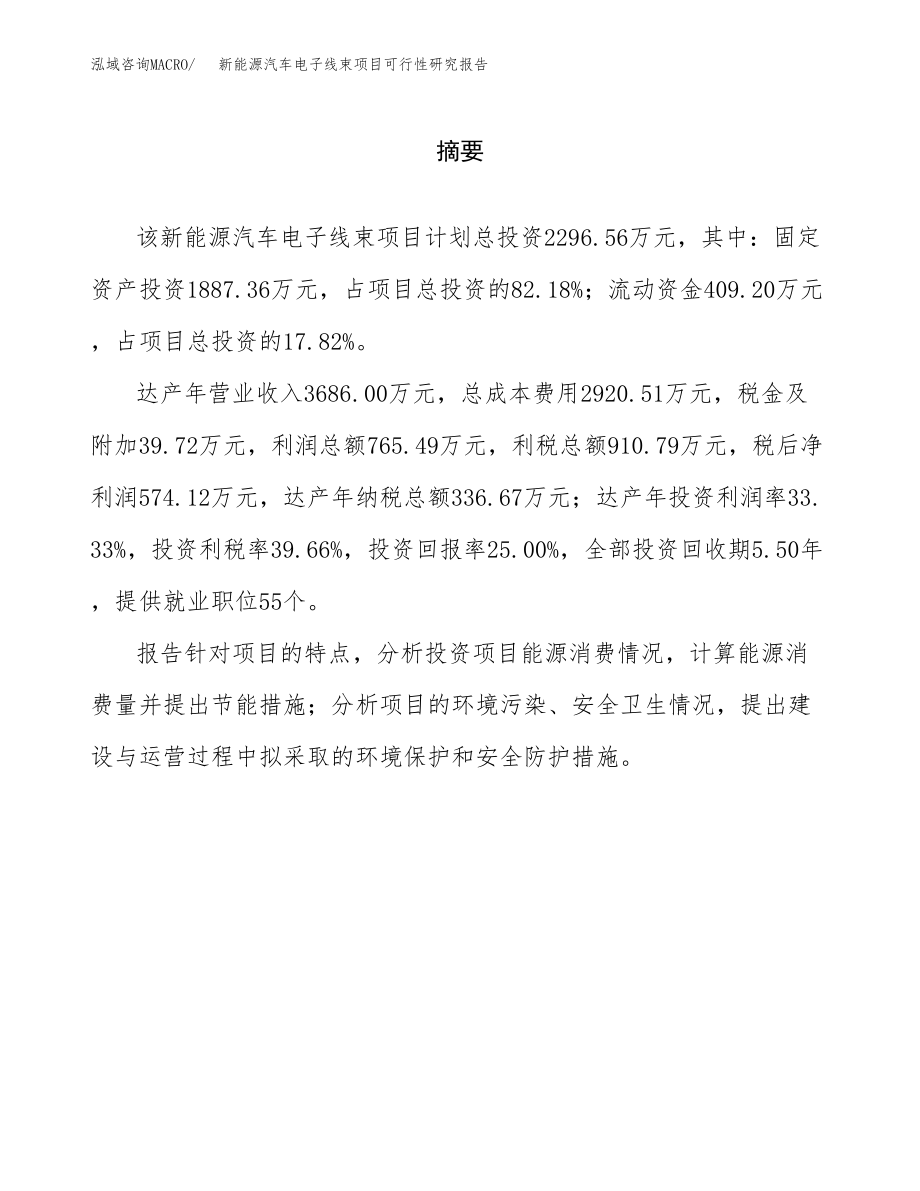 新能源汽车电子线束项目可行性研究报告（总投资2000万元）.docx_第2页