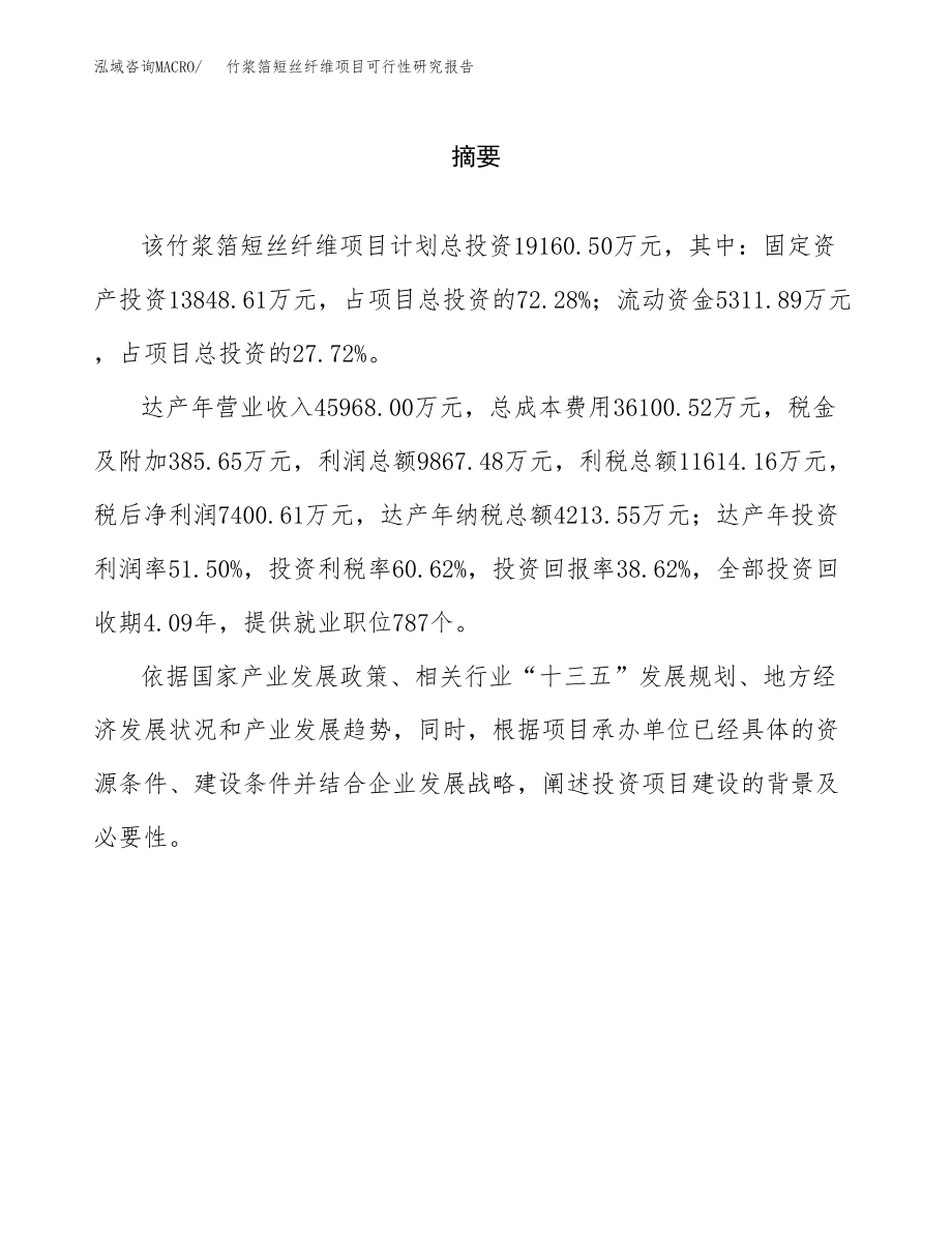 竹浆箔短丝纤维项目可行性研究报告（总投资19000万元）.docx_第2页