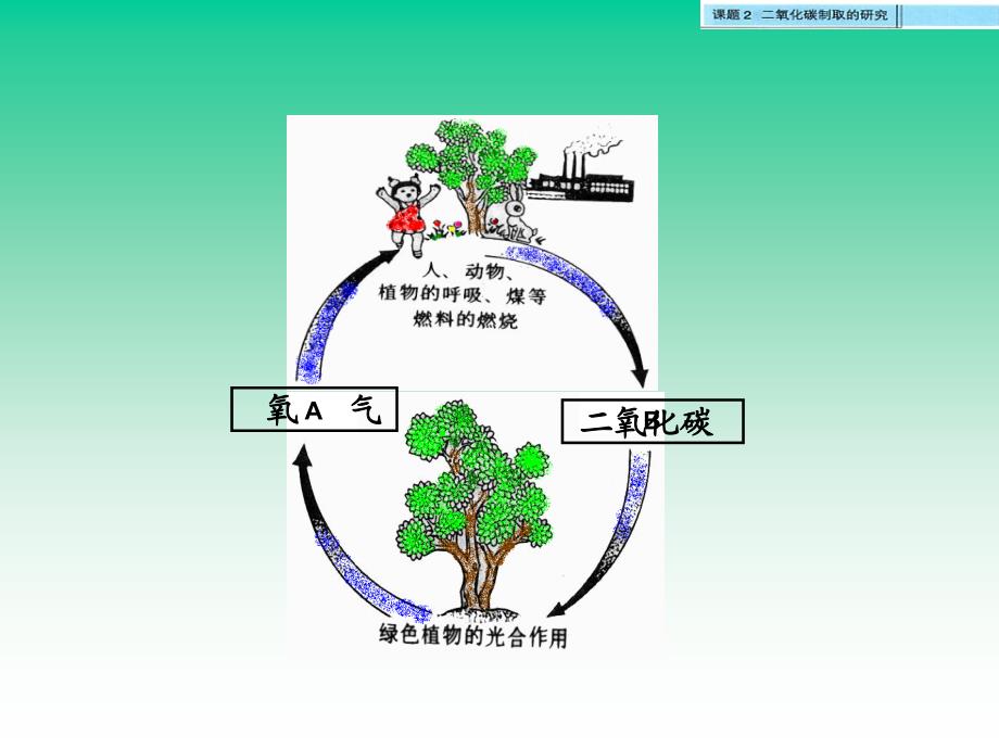 2013年二氧化碳制取的研究第1课时_第2页