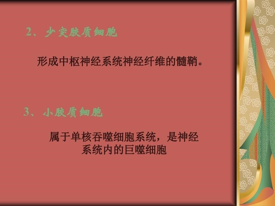 神经纤维和髓鞘.ppt_第5页