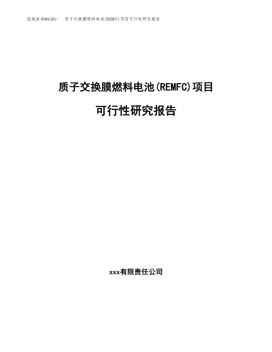 质子交换膜燃料电池(REMFC)项目可行性研究报告（总投资6000万元）.docx_第1页