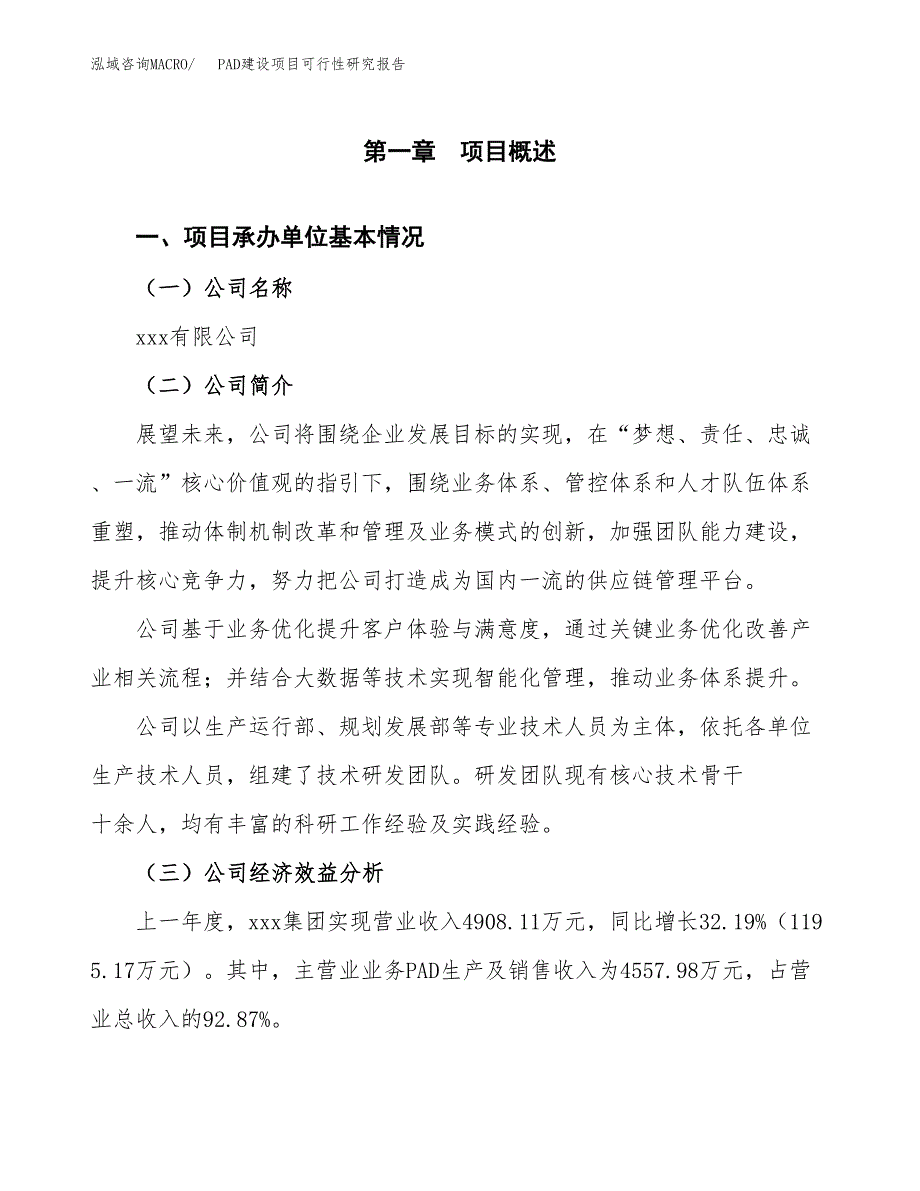 PAD建设项目可行性研究报告（word下载可编辑）_第4页