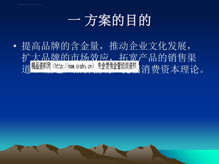 某投资公司销售方案.ppt_第2页