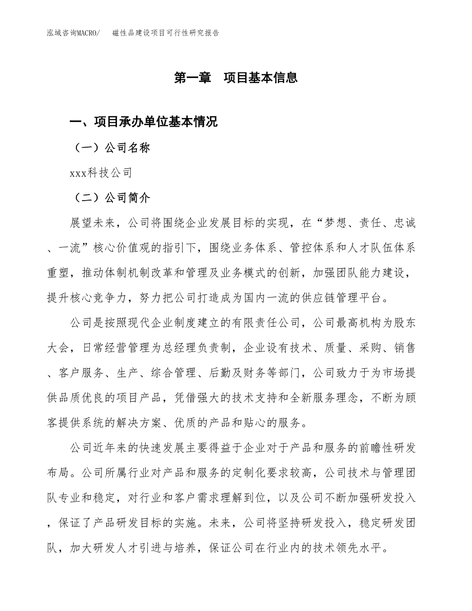 磁性品建设项目可行性研究报告（word下载可编辑）_第4页