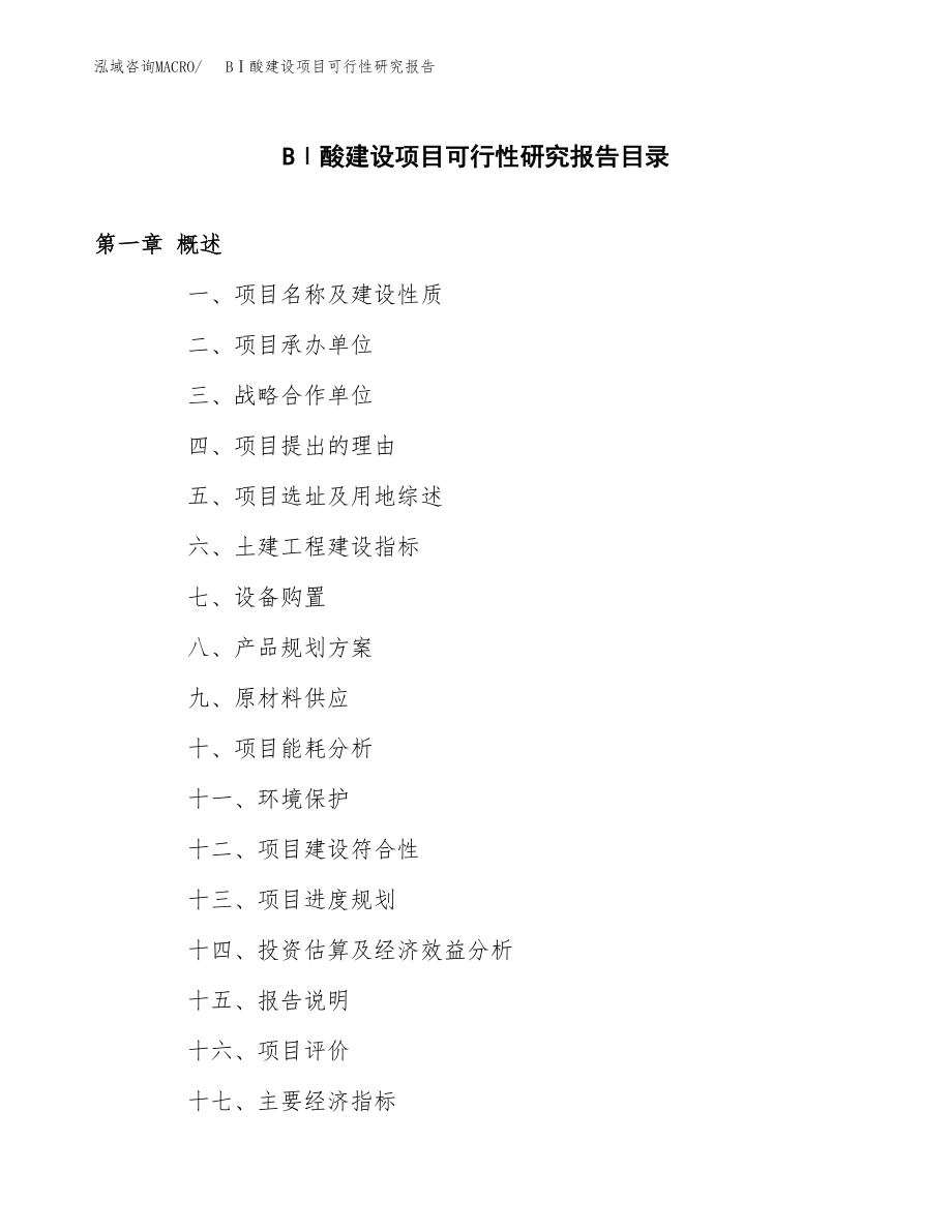 BⅠ酸建设项目可行性研究报告（word模板可编辑）_第3页