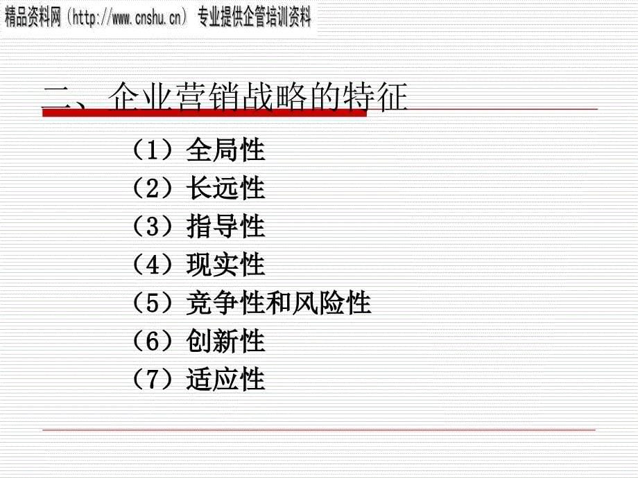 企业营销战略规划.ppt_第5页